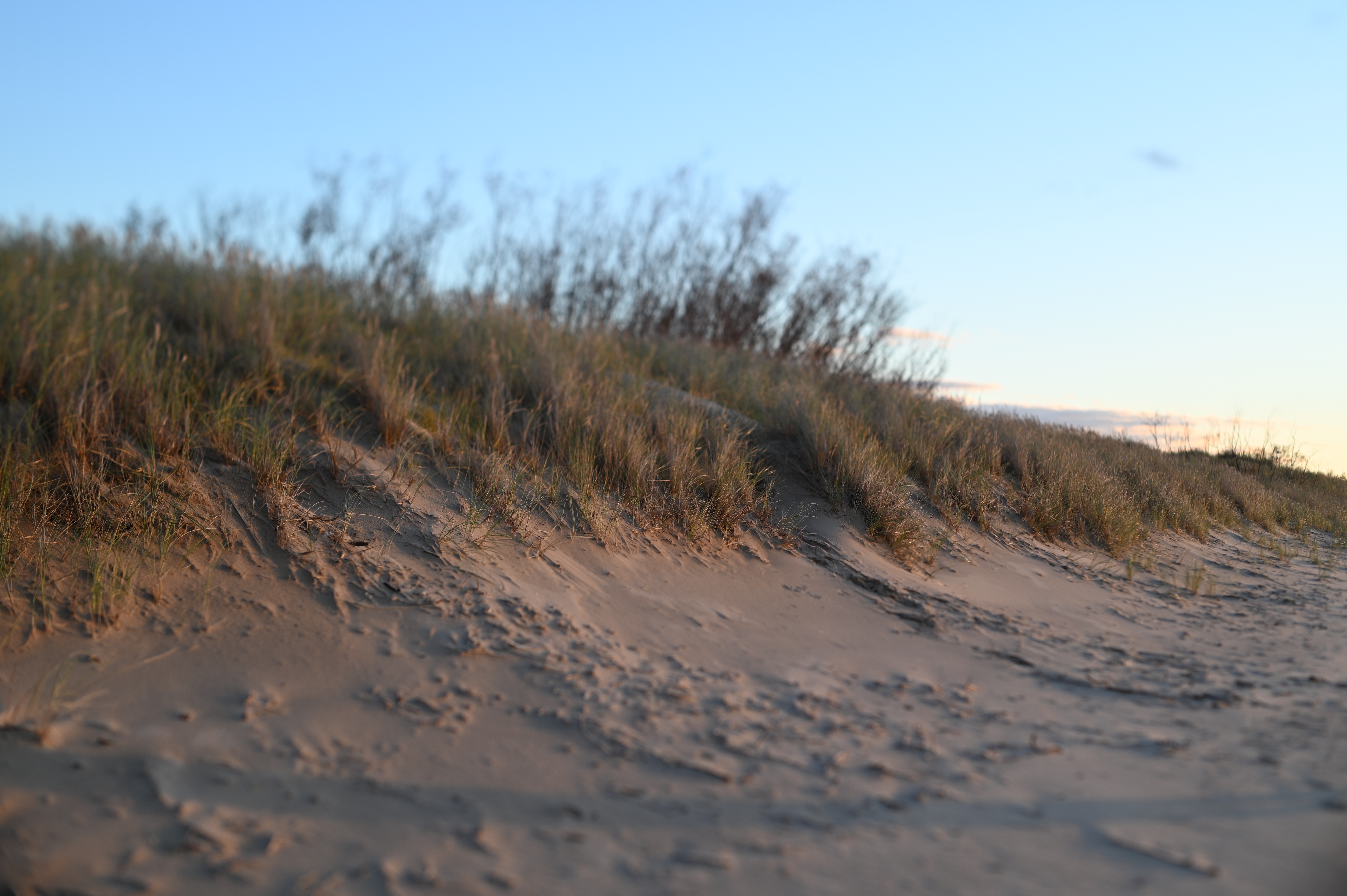 2025/10/18 - walk/DSC_0342.JPG